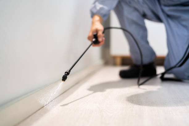 Licensed Pest Control service in Barnsdall, OK - Show Me Pest Control